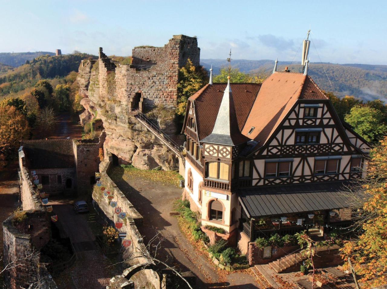 Meuble Le Coin Tranquille Apartment Saverne Luaran gambar